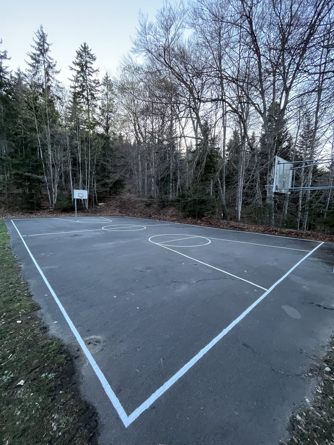 Le terrain de basket en dur, entouré de forêt