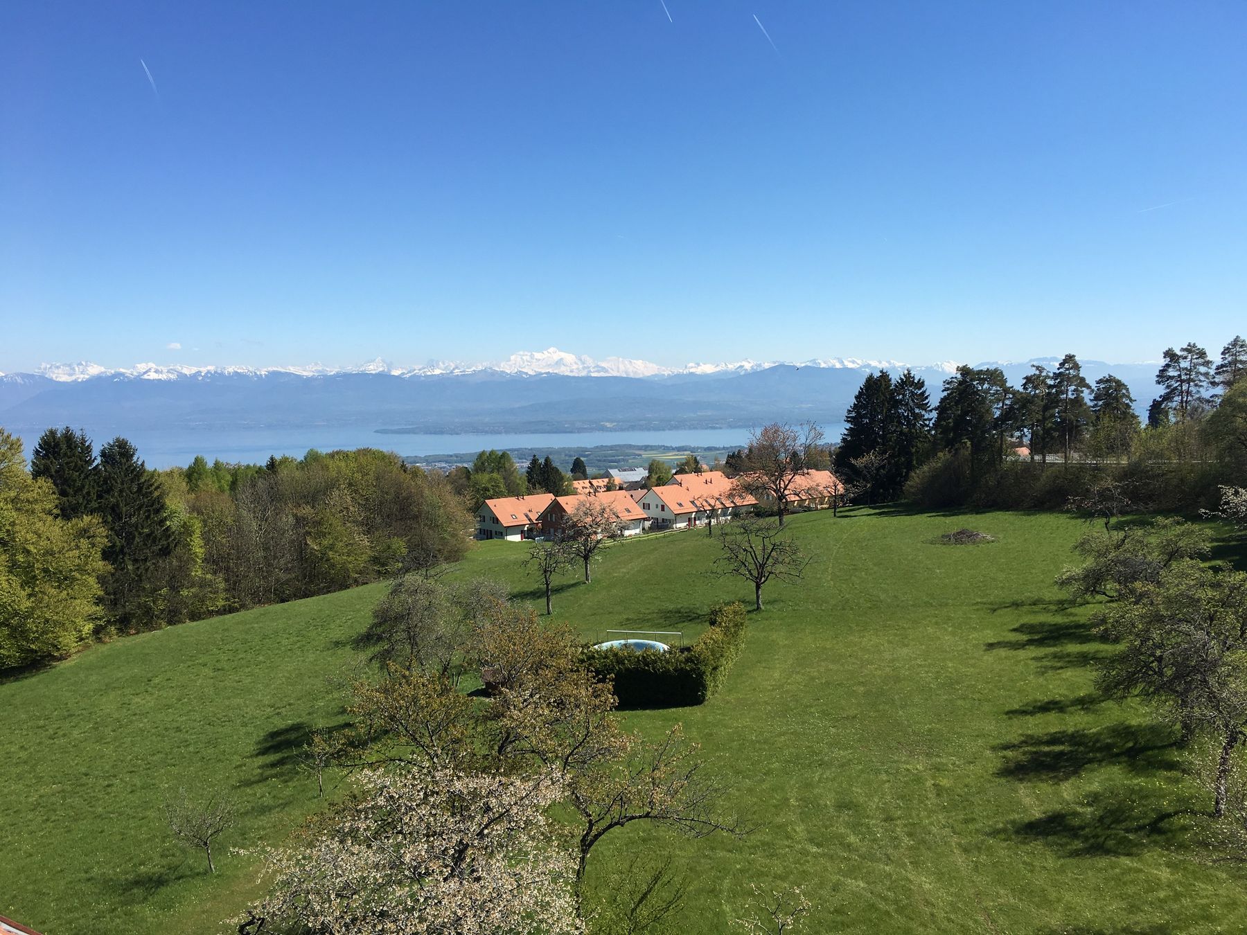Vue depuis le domaine sur le lac Léman et les Alpes